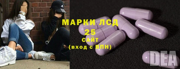 прущие грибы Аркадак