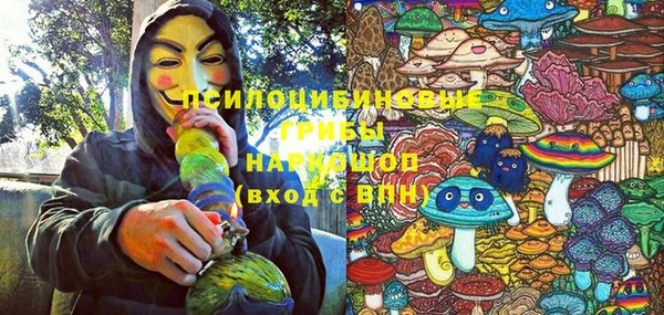 амф Арсеньев