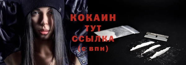 амф Арсеньев