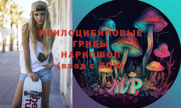 амф Арсеньев